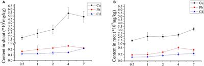 Which Genes in a Typical Intertidal Seagrass (Zostera japonica) Indicate Copper-, Lead-, and Cadmium Pollution?